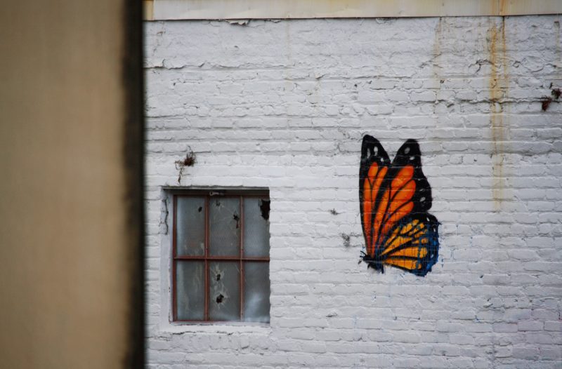 graffiti drawing of butterfly
